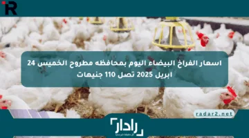 أسعار الفراخ البيضاء اليوم بمحافظة مطروح الخميس 24 أبريل 2025 تصل 110 جنيهات
